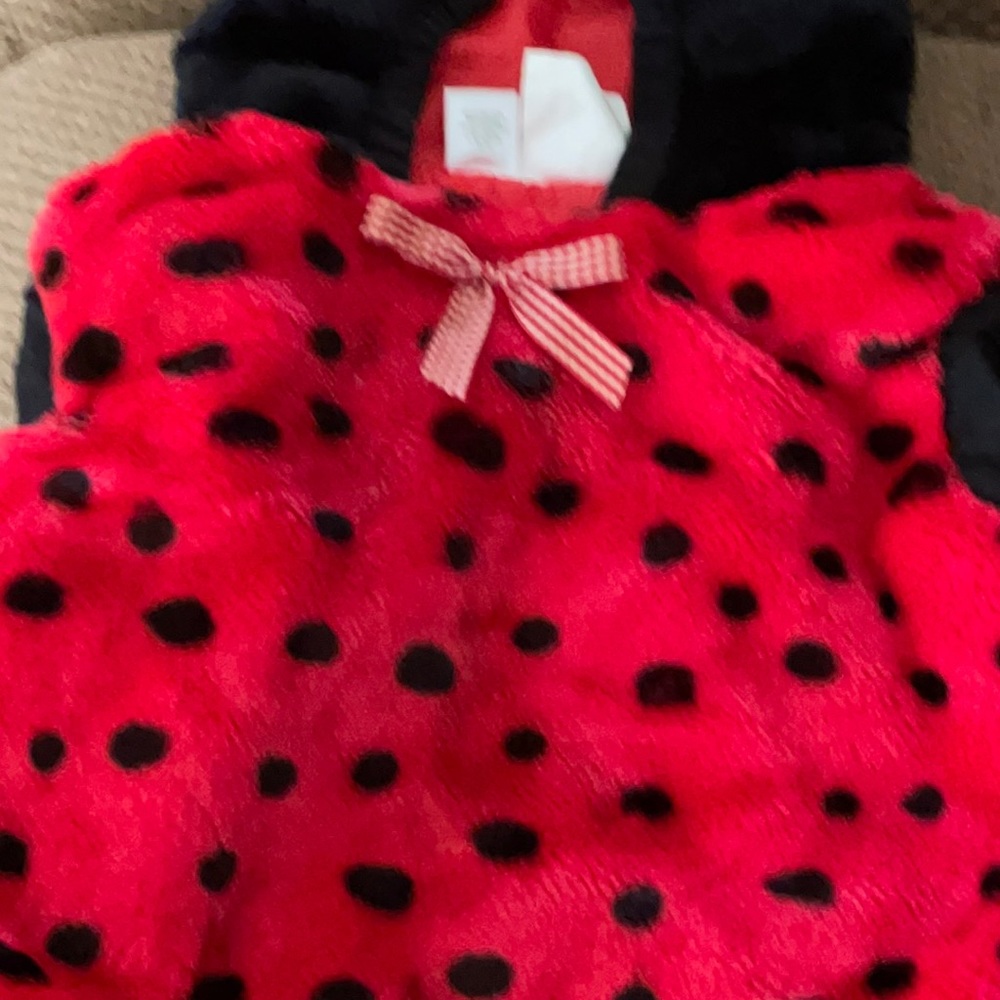 Red and black Lady Bug costume